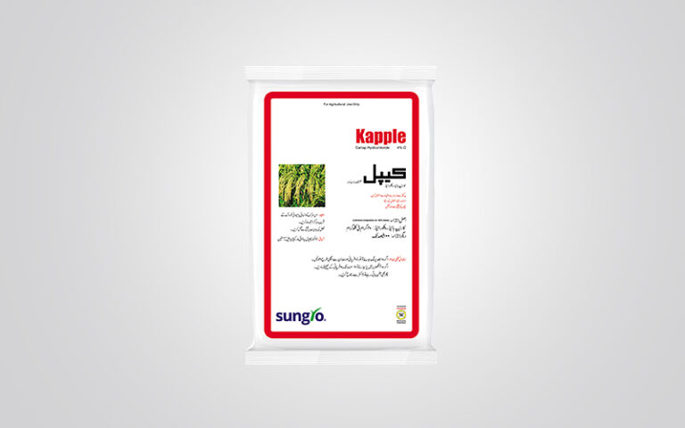 Kapple Kapple 4% G | Sungro
